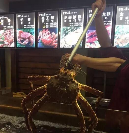 一天吃8顿算啥！回我老家青岛，带你吃上24小时！