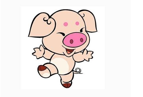 生肖属猪运势指南详解图,生肖属猪运势指南图