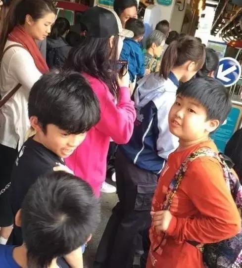 张柏芝脸部特写,张柏芝面容分析