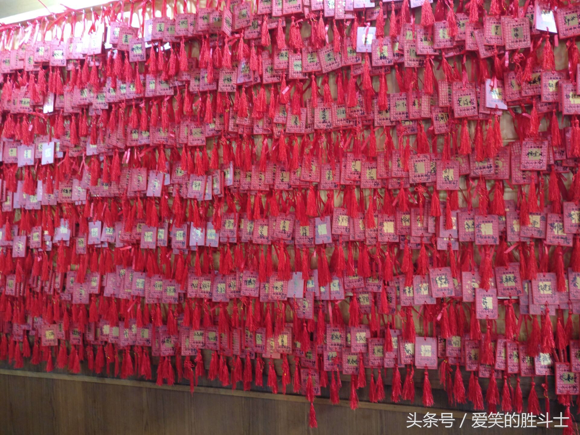 上海浦东一日游手绘图,上海浦东一日游多少钱