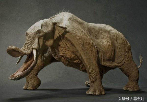 史前象科：大家伙们成为了早期人类的肉类仓库
