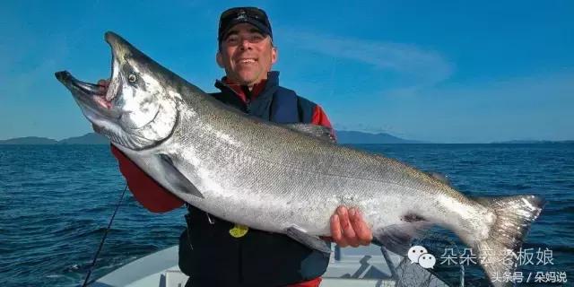 市面上的dha到底有必要给孩子吃吗,dha到底要不要给孩子吃