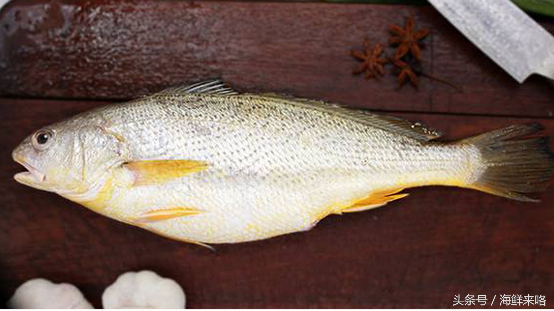 哪种海鱼吃着最简单,哪种海鱼喜欢吃肉