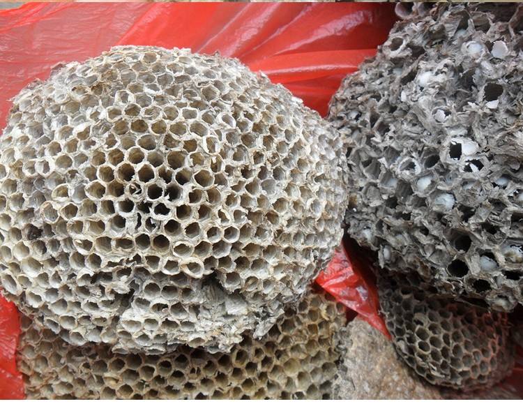 中药里的蜂房有啥药效,马蜂蜂房中药