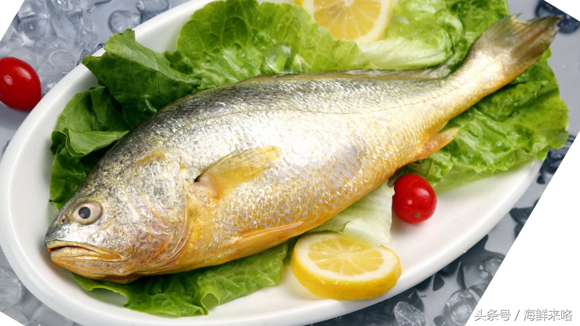 哪种海鱼吃着最简单,哪种海鱼喜欢吃肉