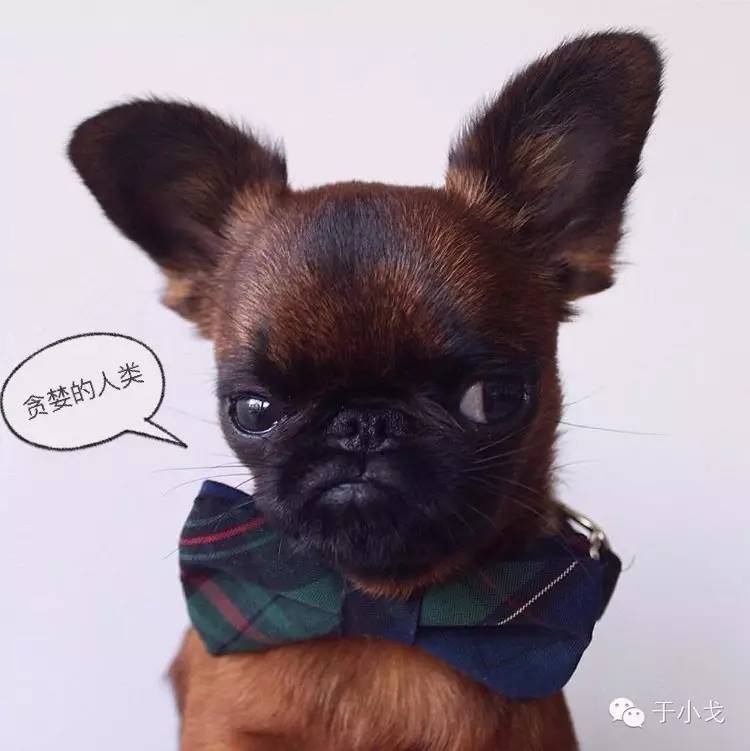 过年给公婆买什么礼物合适,过年应该给爸妈公婆买什么礼物