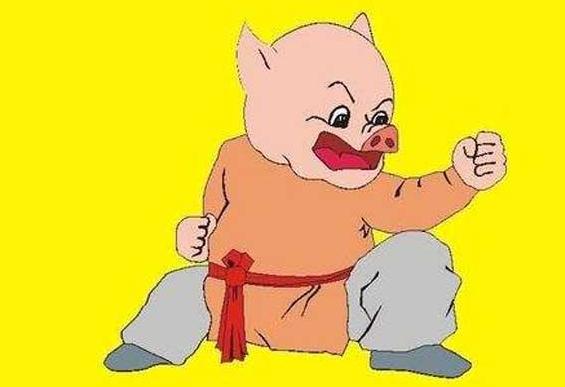 生肖属猪运势指南详解图,生肖属猪运势指南图