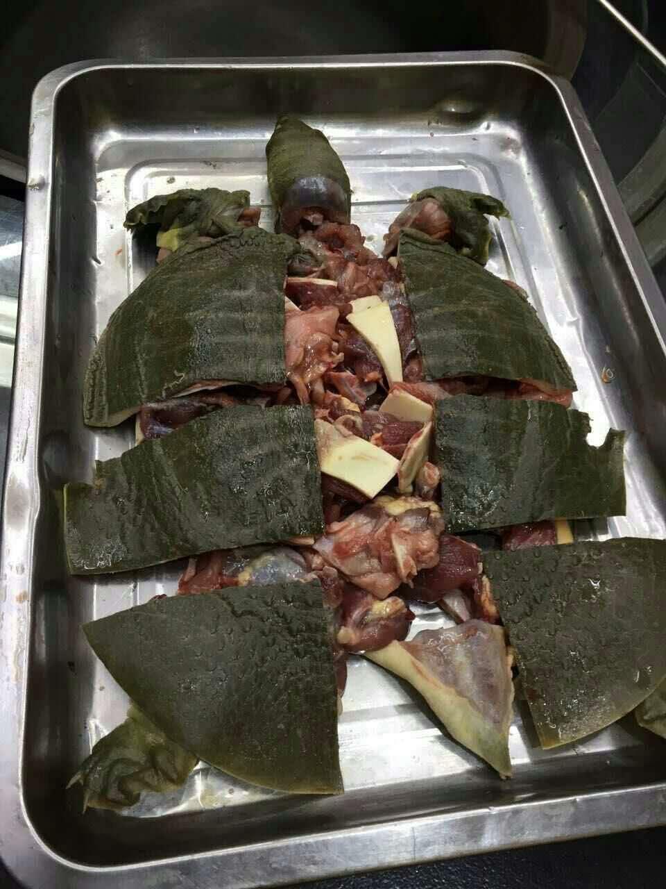 现杀现炖特点甲鱼,外面杀好的甲鱼怎么做