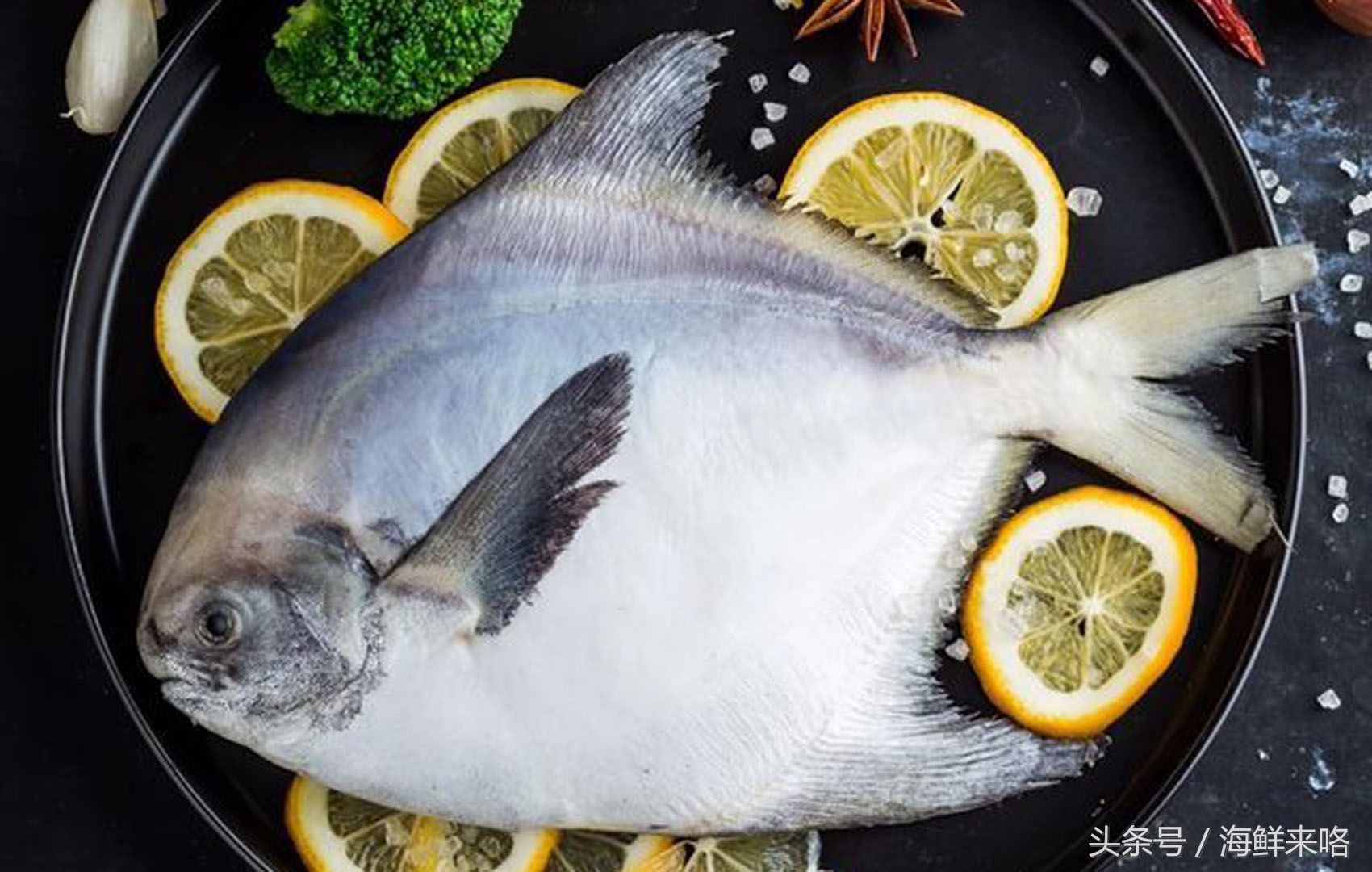 哪种海鱼吃着最简单,哪种海鱼喜欢吃肉