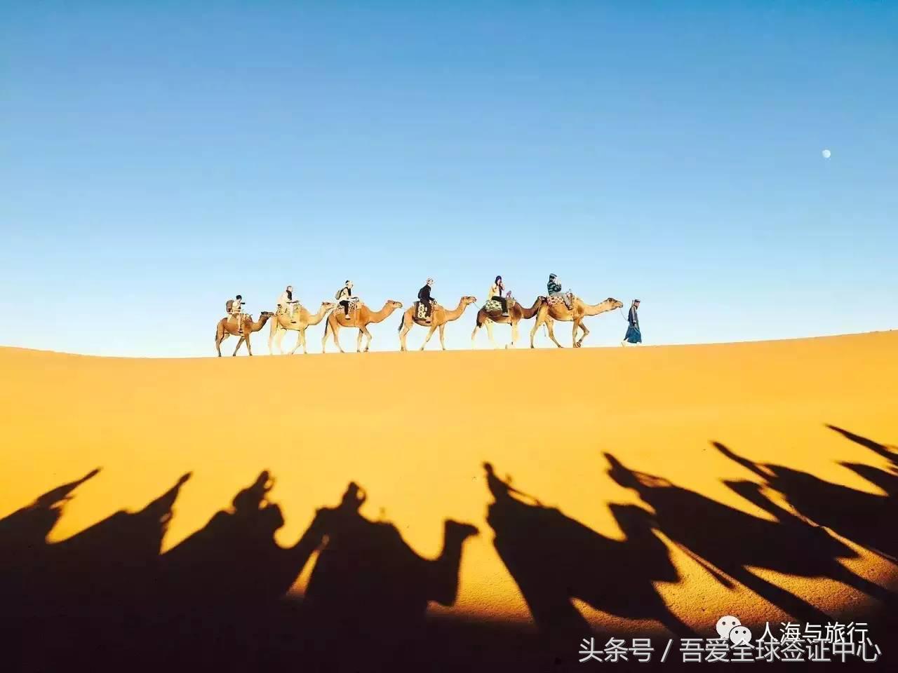 摩洛哥自由行全攻略 (最全的摩洛哥攻略)