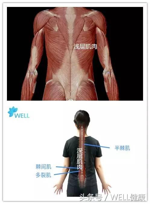 肩颈腰疼痛锻炼方法长视频,肩颈腰锻炼的视频