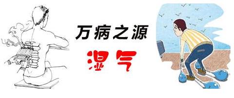 体内湿气危害太大，有多少个雷区被你踩到了