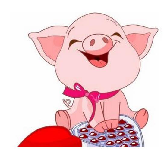 生肖属猪运势指南详解图,生肖属猪运势指南图