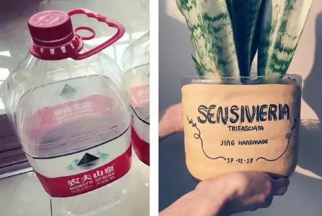 创意手工花盆旧物利用长方形,带把手茶壶旧物改造为花盆