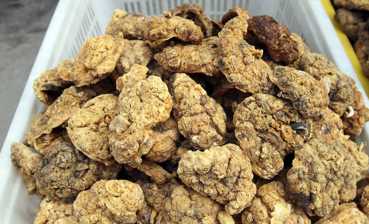 男人吃紫河车有什么坏处,男人吃紫河车半个月的变化