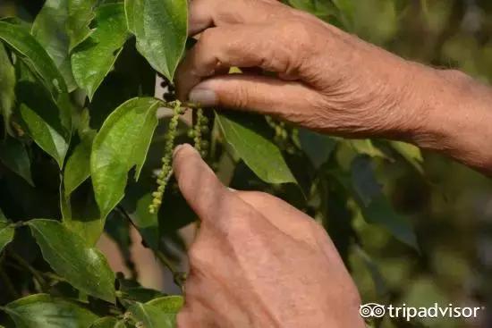 五个必去的小众景点,这十个地方你坚决不能去攻略