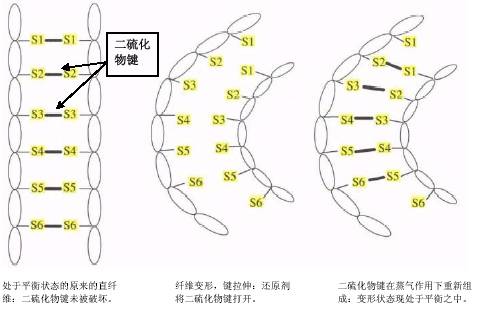 专业烫发和免打理烫发有什么不同,不同烫发到底有什么区别