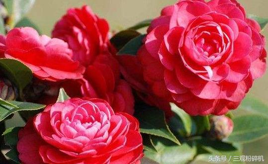 城市诗七律,城市诗词现代