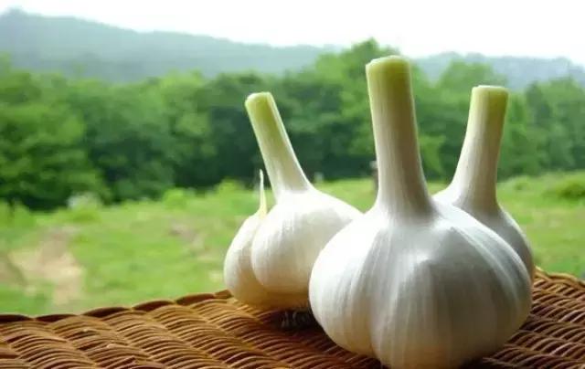 请问一下大蒜怎么吃最有效果,大蒜怎么吃才能疗效最好