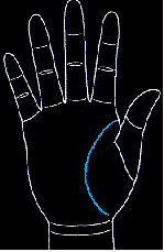 手的生命线是越长越好吗,手纹上的生命线越长越好吗