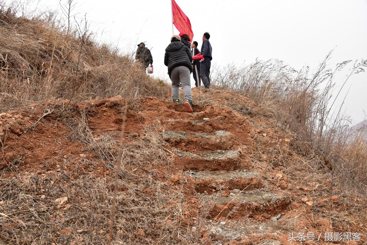为什么让小学生上山植树造林，看完老师写的图文就明白
