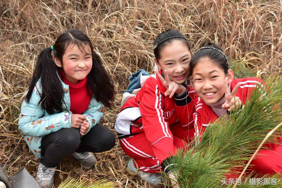 为什么让小学生上山植树造林，看完老师写的图文就明白