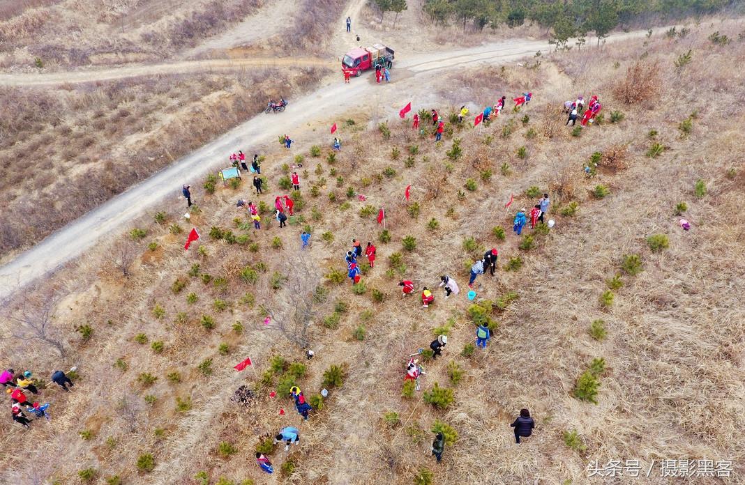为什么让小学生上山植树造林，看完老师写的图文就明白