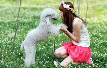 故事：女儿天天牵狗逛街，瘫痪老爹锁在屋内臭不可闻