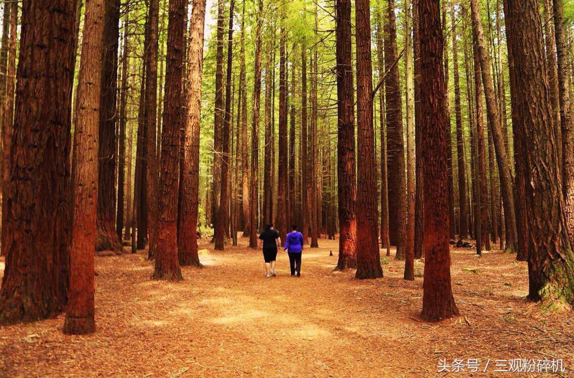 城市诗七律,城市诗词现代