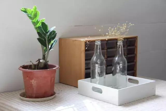 创意手工花盆旧物利用长方形,带把手茶壶旧物改造为花盆