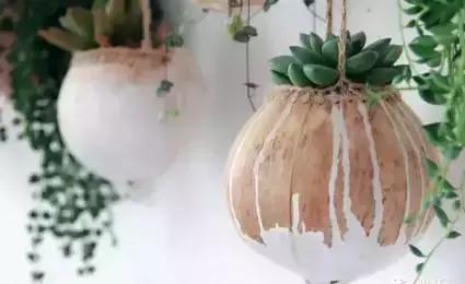 创意手工花盆旧物利用长方形,带把手茶壶旧物改造为花盆