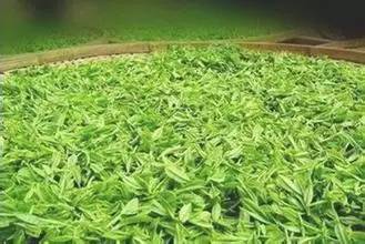 年货赣南特产有哪些,粤赣土特产