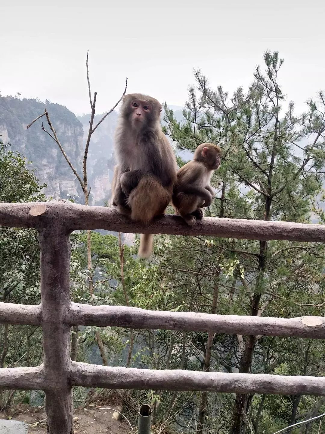 湖南老年人旅游攻略,老人湖南旅游攻略