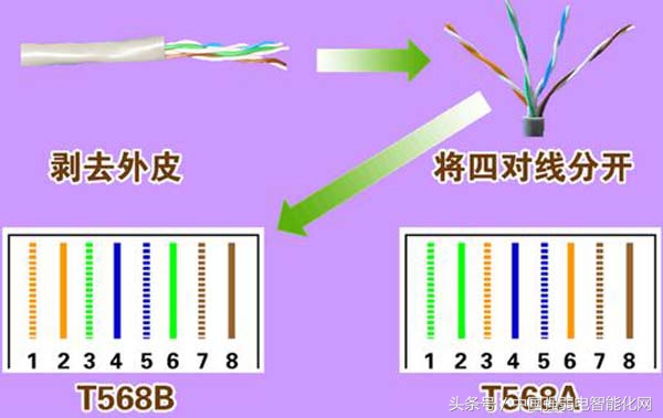 8芯网线中每根线起什么作用,8芯网线连多少根能上网