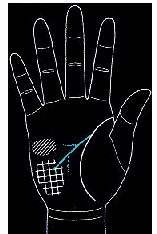 手的生命线是越长越好吗,手纹上的生命线越长越好吗