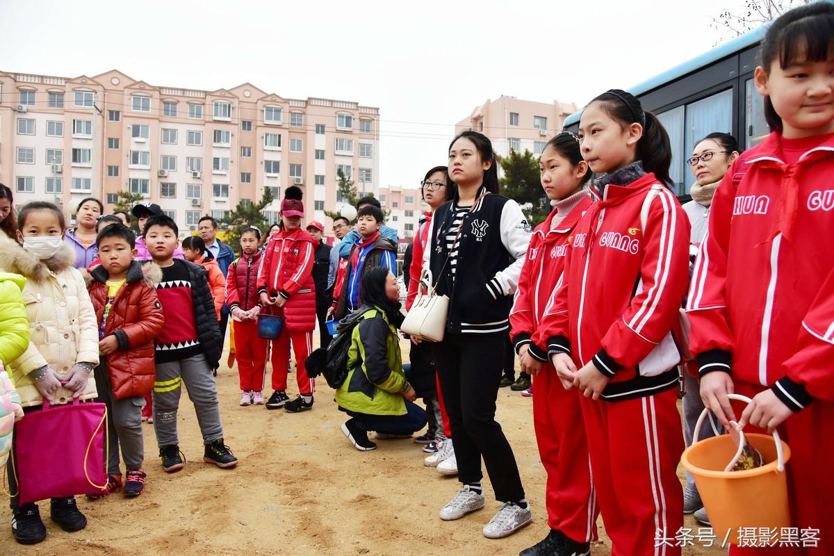 为什么让小学生上山植树造林，看完老师写的图文就明白