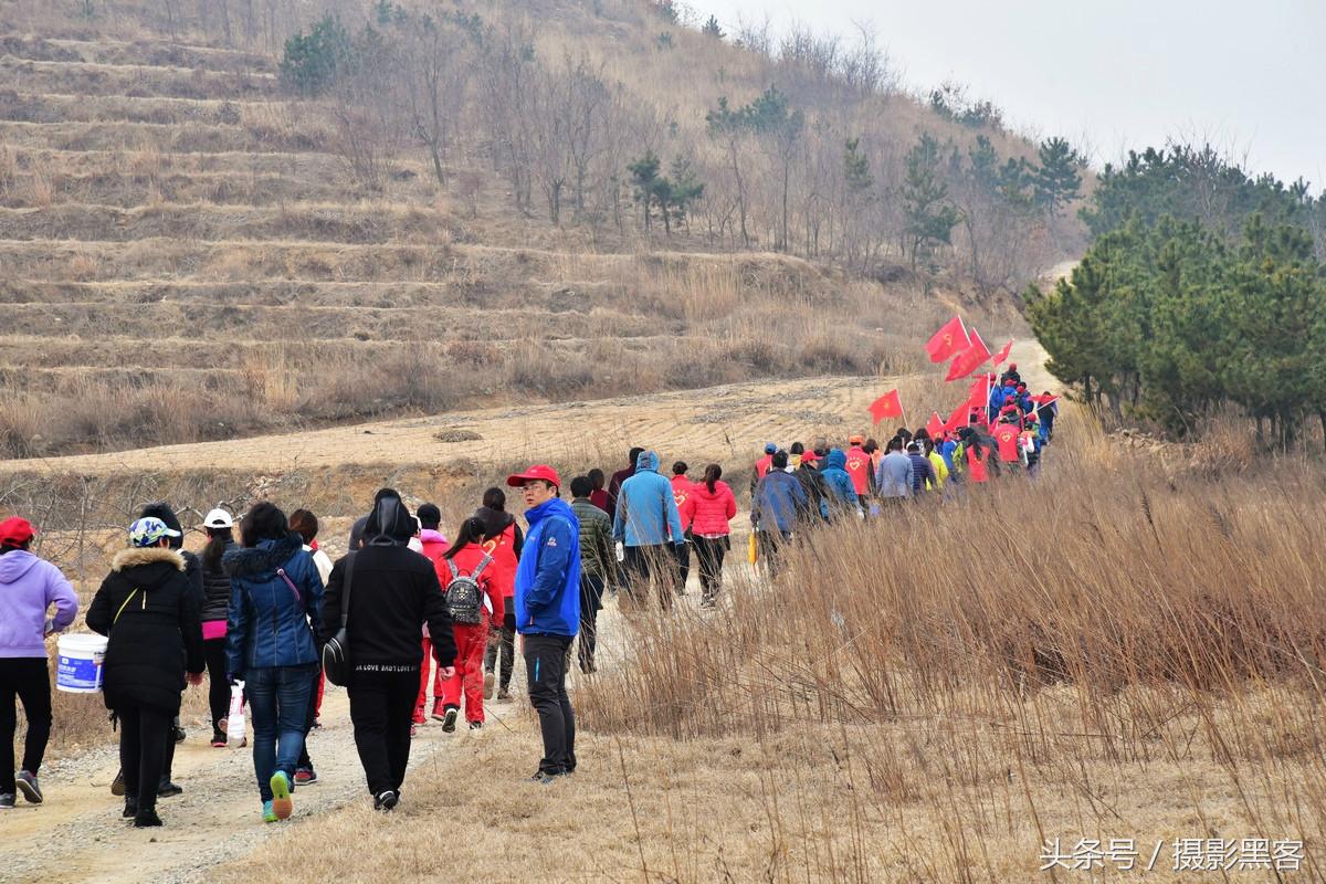 为什么让小学生上山植树造林，看完老师写的图文就明白
