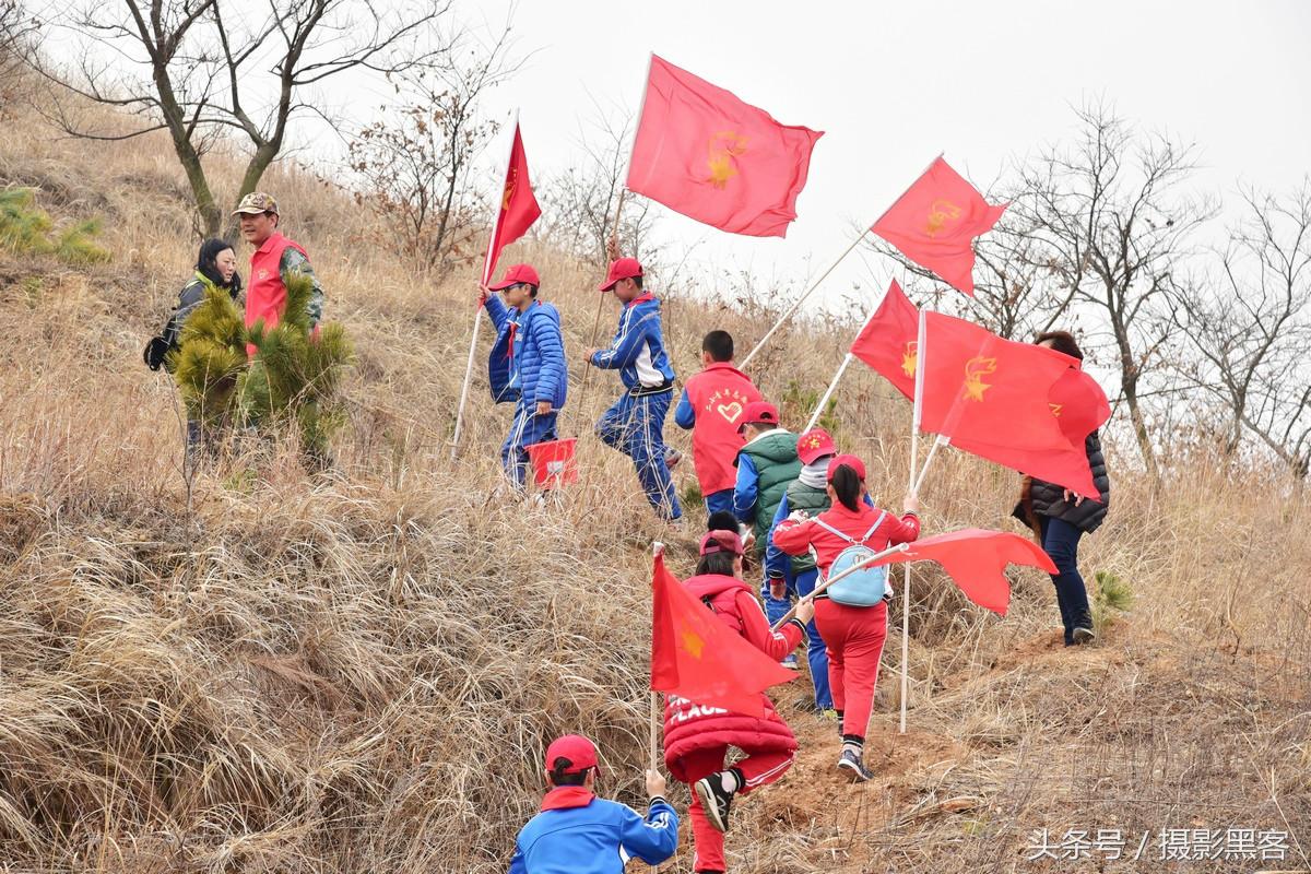 为什么让小学生上山植树造林，看完老师写的图文就明白