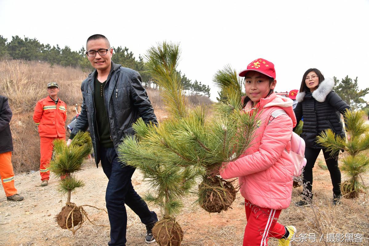 为什么让小学生上山植树造林，看完老师写的图文就明白