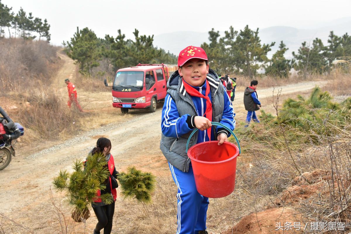 为什么让小学生上山植树造林，看完老师写的图文就明白