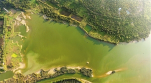 深圳国际湿地城市,深圳城市湿地