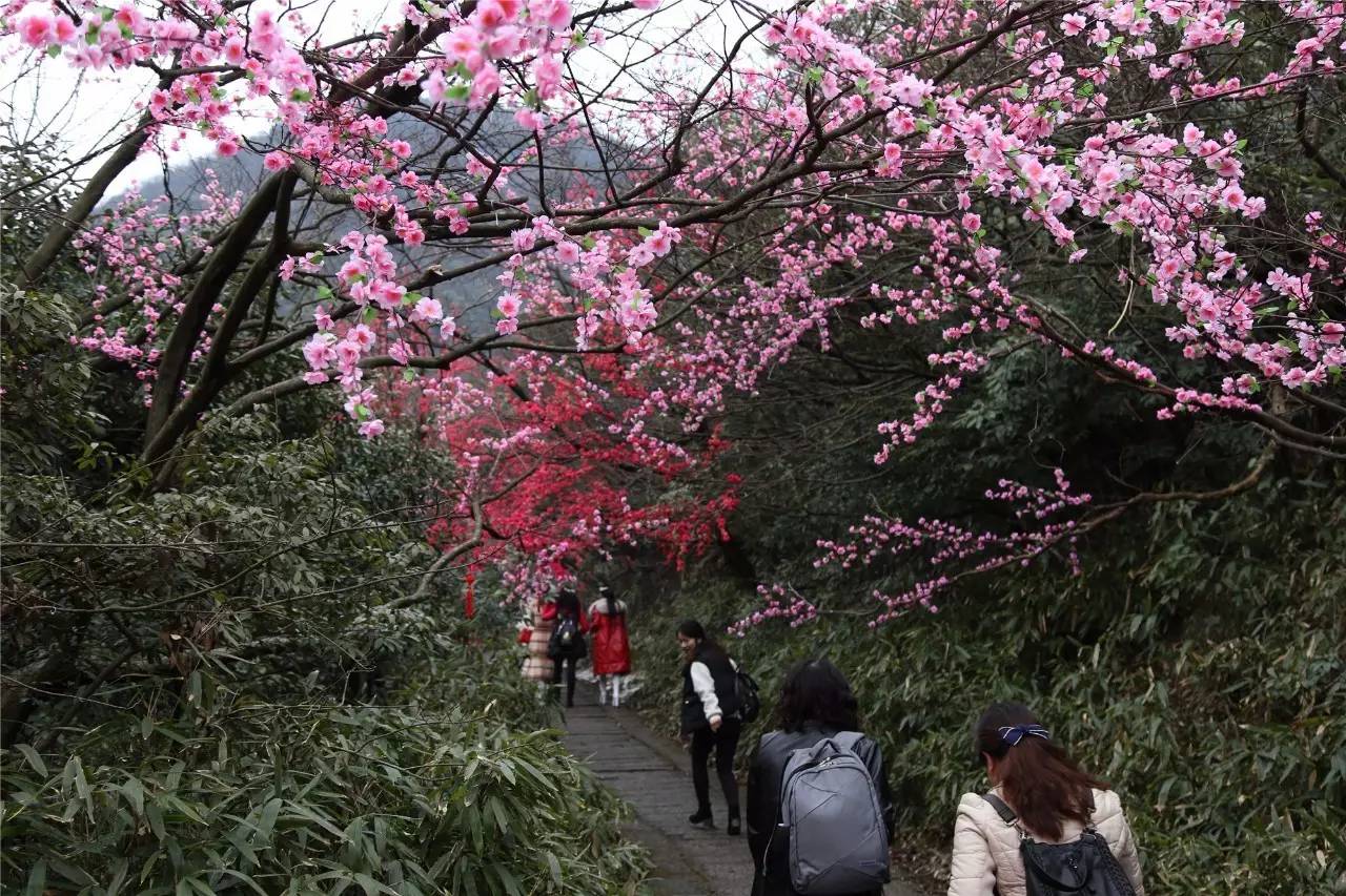 女神节专用红包,微信女神节专用红包