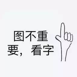 我大黑河的东北话，就是这么搞siào！
