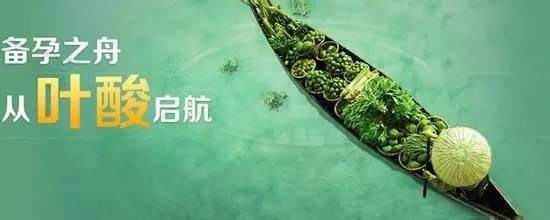 关于叶酸的这点事儿,健康知识科普关于叶酸