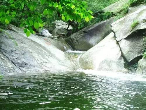 景区年票是怎么办理的,旅游年票的办理时间是多久