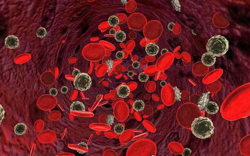 液体ctc循环肿瘤细胞检测靠谱吗,液体活检dna检测准确性