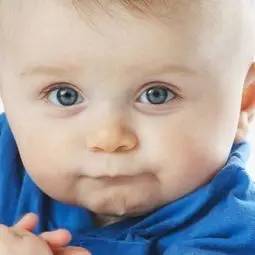 我大黑河的东北话，就是这么搞siào！