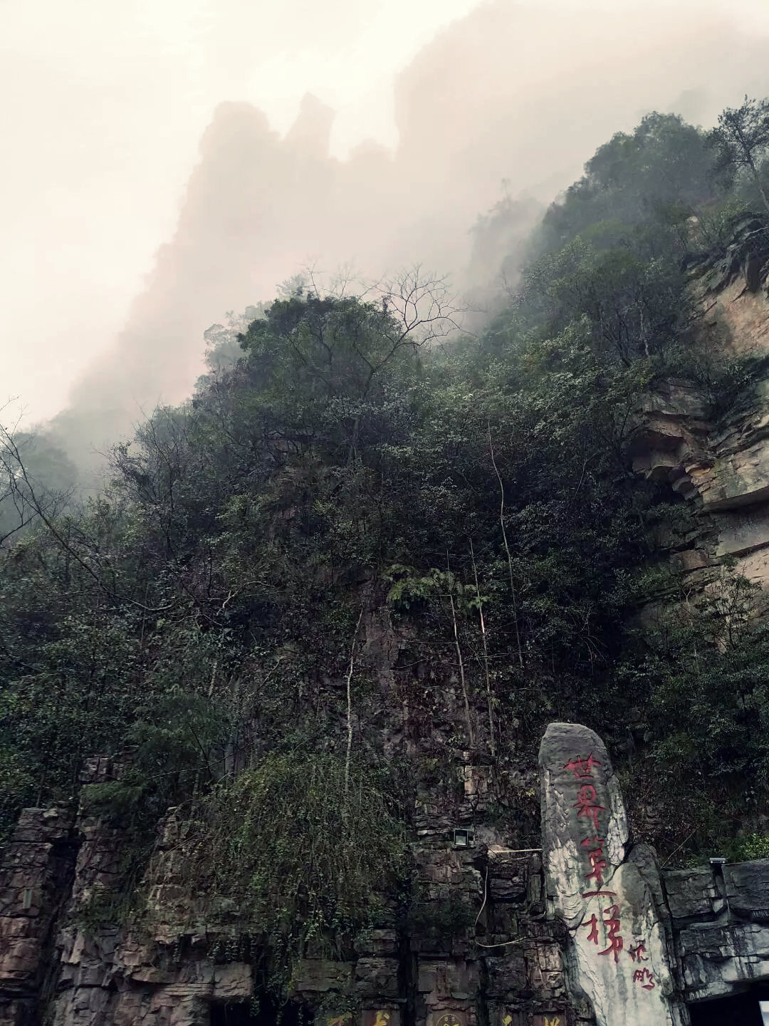 湖南老年人旅游攻略,老人湖南旅游攻略