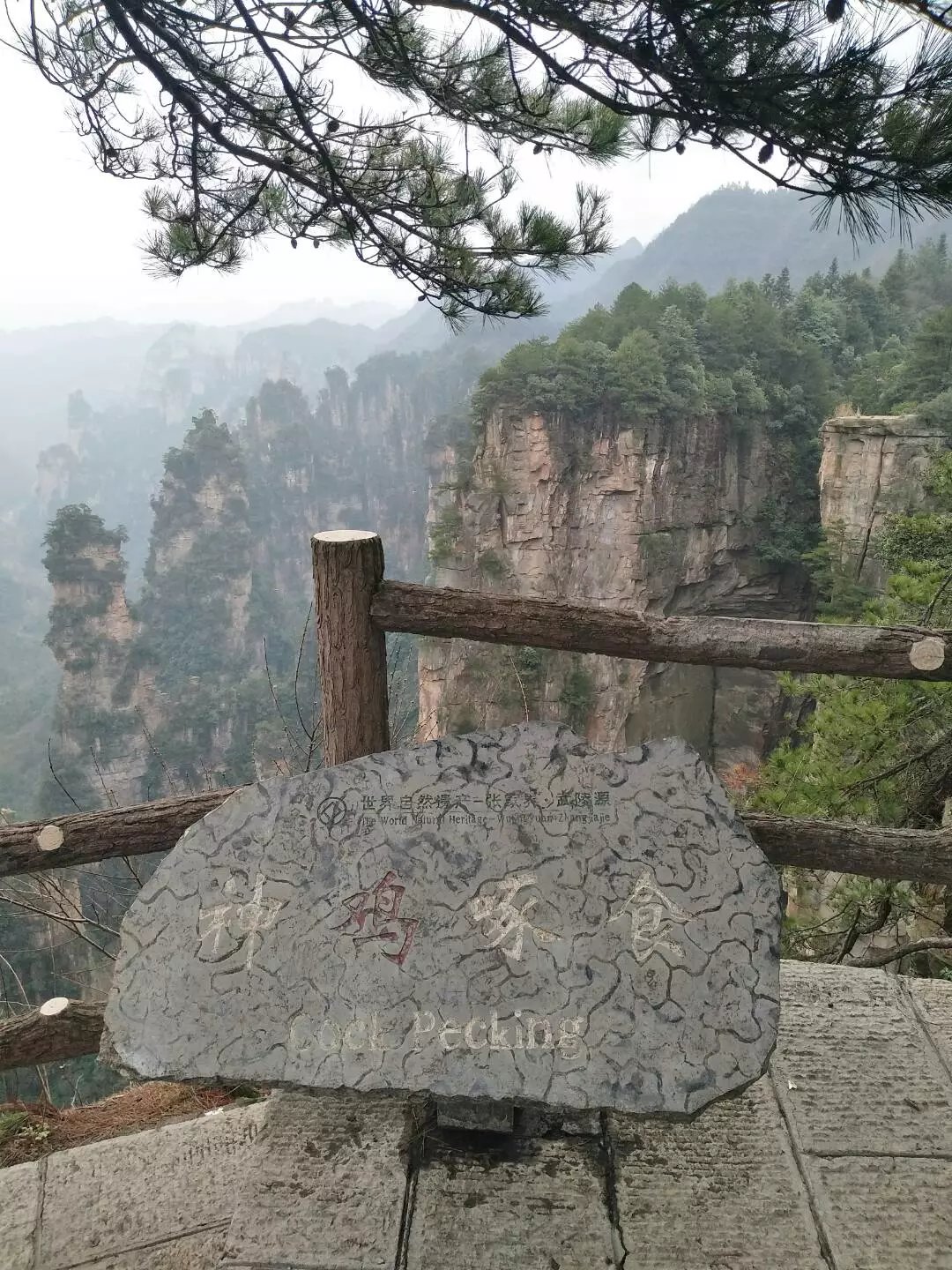 湖南老年人旅游攻略,老人湖南旅游攻略