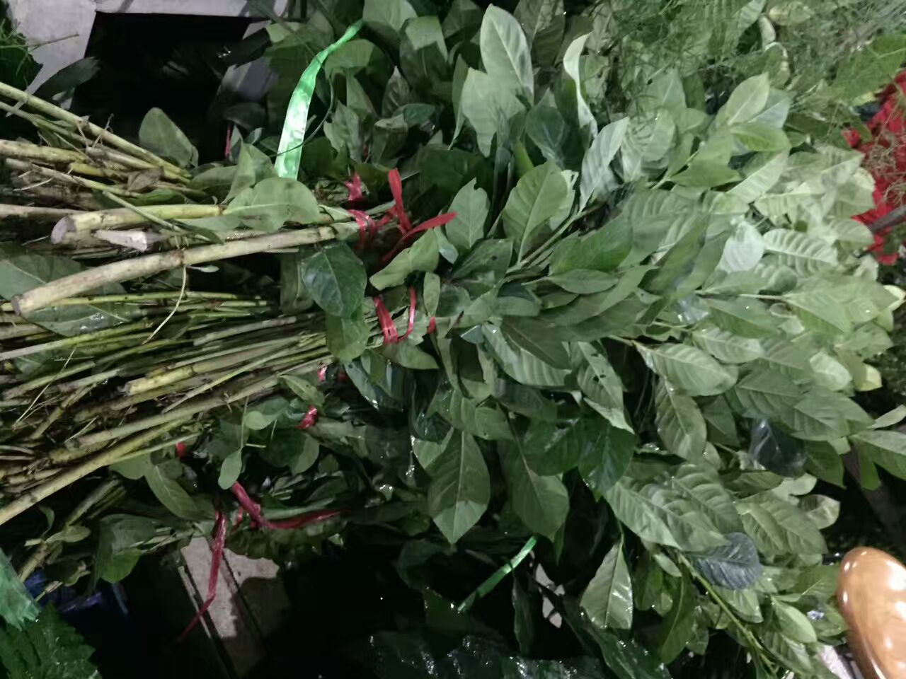 看了这些图，下次去花店你就能把花店里的花花草草叫出名字来了！